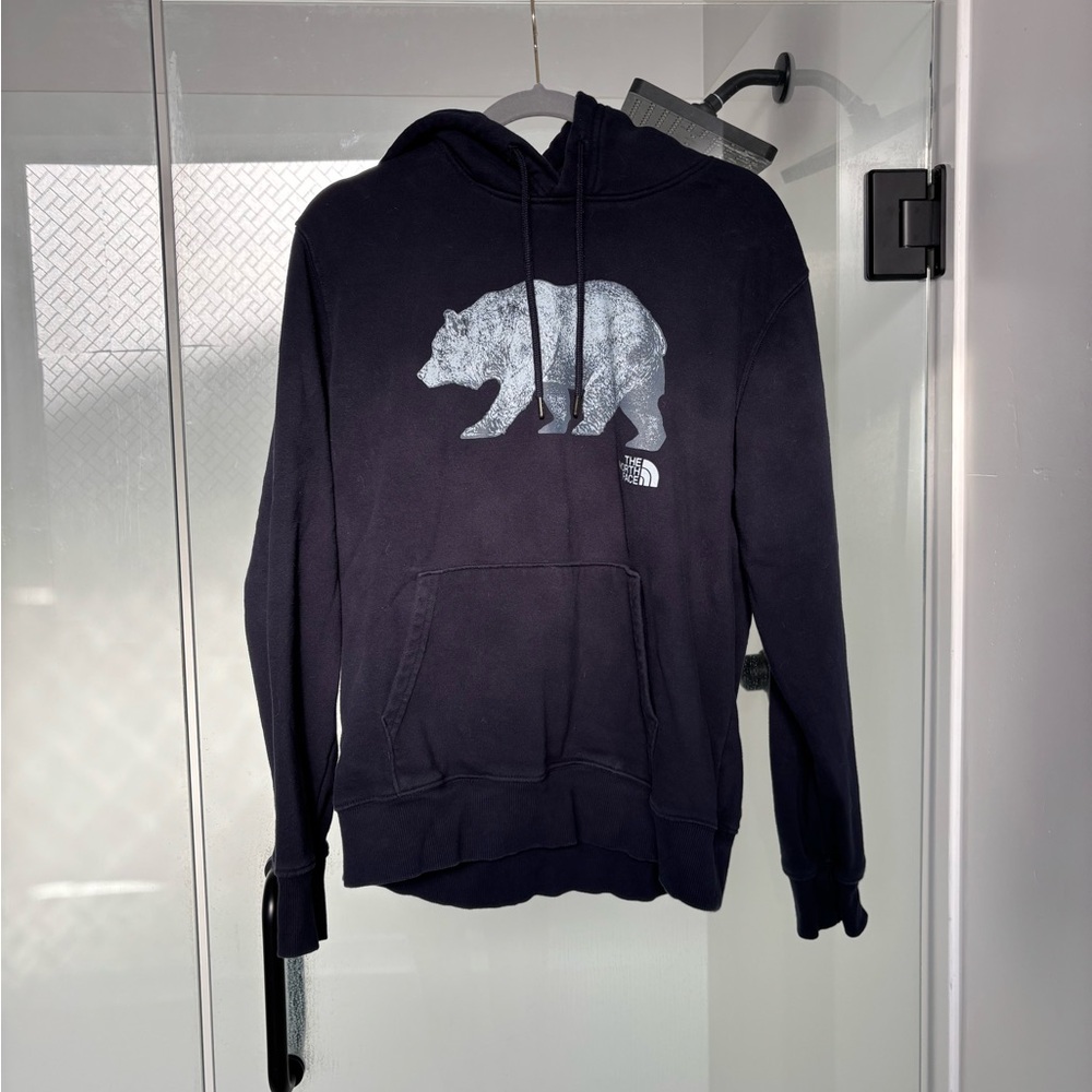 Men's The North Face Bearscape Hoodie
